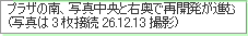 vU̓Aʐ^ƉEōĊJi
(ʐ^3ڑ26.12.13Be)