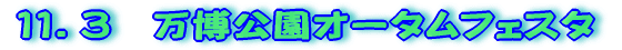 １１．３　万博公園オータムフェア 