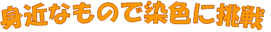 g߂Ȃ̂ŐFɒ