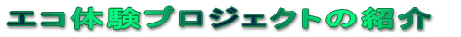 GŘvWFNg̏Љ 
