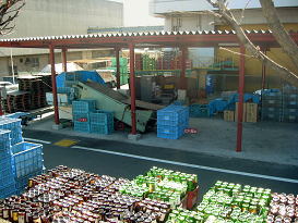 破砕選別工場