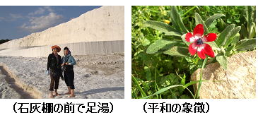 トルコ紀行の写真　足湯と花