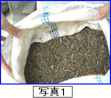 写真1 (堆肥を土嚢袋で乾燥)