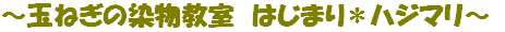 ～玉ねぎの染物教室　はじまり*ハジマリ～