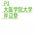 P3@w@wݕӍ