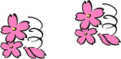 イラスト　桜