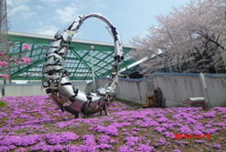 ʌ֑O@EōEjg@̎ʐ^