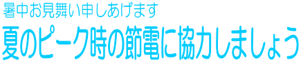 \܂@
Ẵs[N̐ߓdɋ͂܂傤